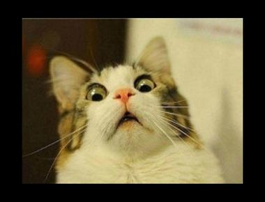 「It’s blowing my mind!」是什麼意思？