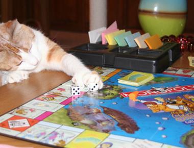 「桌遊」的英文怎麼說？