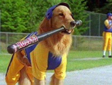 「knock it out of the park」是什麼意思？