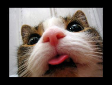 好用句：「That’s a framer!」是什麼意思？