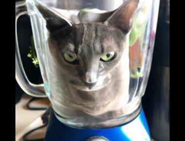 "冰沙" 的英文怎麼說?