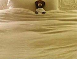 動詞 Take 的各種片語