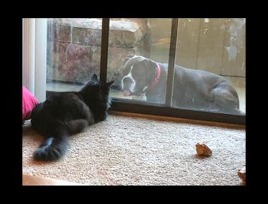 status quo 是什麼意思？