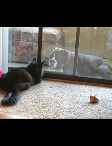 status quo 是什麼意思？