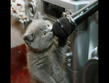 「talk a good game」是什麼意思？