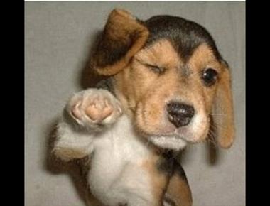 "睜一隻眼, 閉一隻眼" 的英文怎麼說?