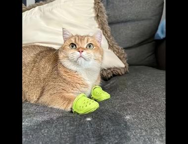 各種鞋子的英文名稱(二)