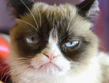 好用句: Over my dead body!