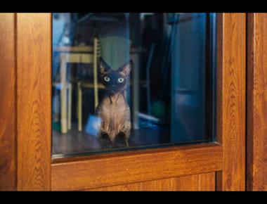 該用 Ving 還是 p.p. 當形容詞?