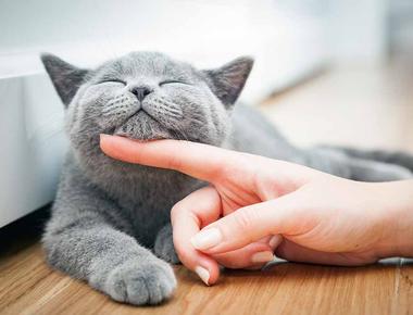 50 Life Lessons 人生的 50 課 (三)