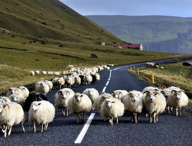 on the street 和 in the street