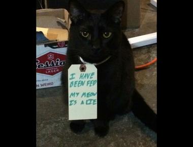 時態 - 現在完成進行式