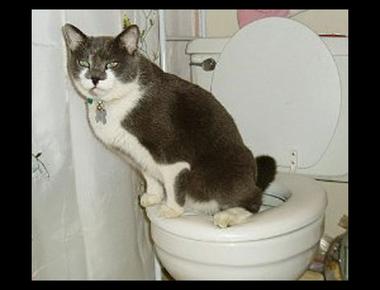 本日英文佳句: Shit or get off the pot!