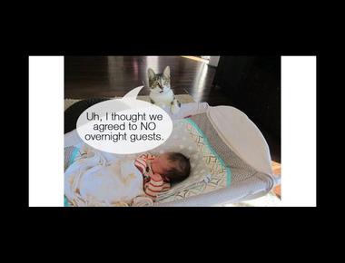 You have outstayed your welcome. 是什麼意思？