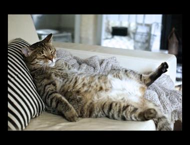 keep in shape 的誤譯