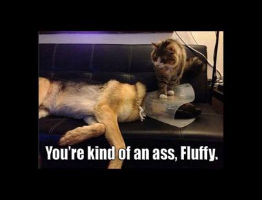 「在傷口上灑鹽」 的英文怎麼說？