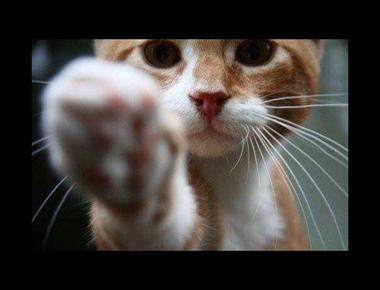 Nice touch! 是什麼意思？