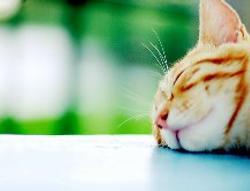 好用句: Count your blessings.