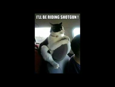 Riding shotgun 是什麼意思？