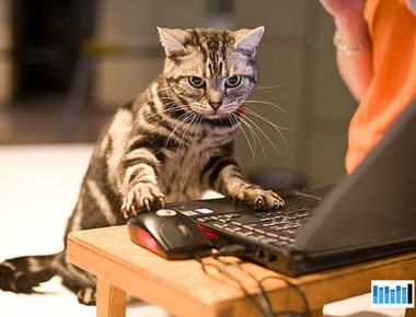 關於工作的英文佳句