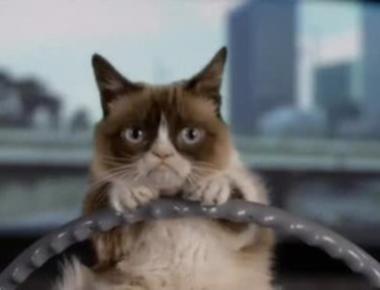 「under the influence」是什麼意思？