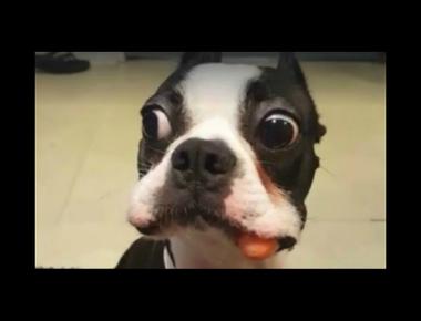 「have a tell」是什麼意思？