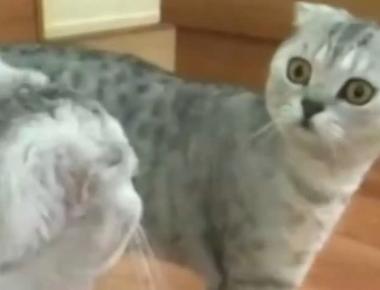 好用句：You never know.