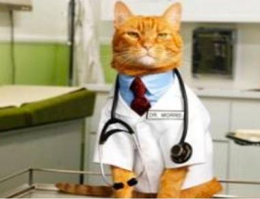 各種醫生的英文說法