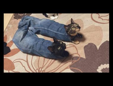 「put one’s pants on one leg at a time」是什麼意思？