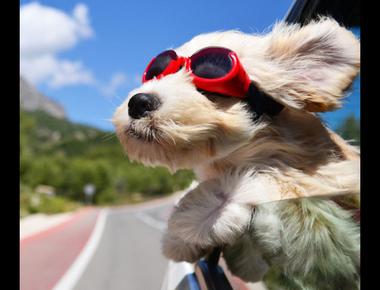 break wind 是什麼意思？