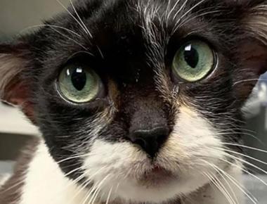 "貴人" 的英文怎麼說?