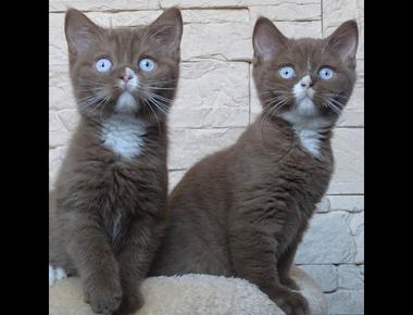 正確使用名詞的單複數