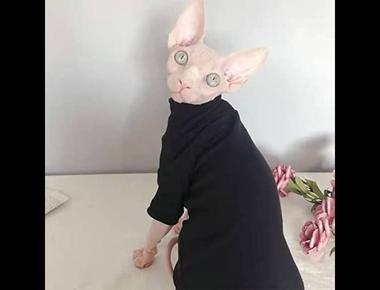 「發熱衣」的英文怎麼說？