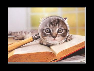 「pore over」是什麼意思？