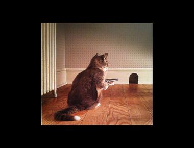 I’m onto you. 是什麼意思？