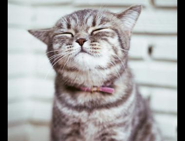 愛情限時簽 + 愛情逆轉勝