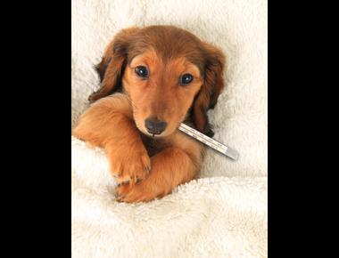 "請假" 的英文怎麼說?