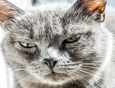 2009 Word of the Year - Unfriend (2009 年度最佳新單字)