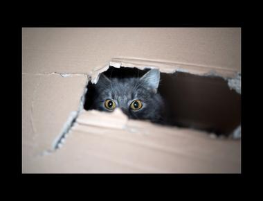 "垃圾分類" 的英文怎麼說?