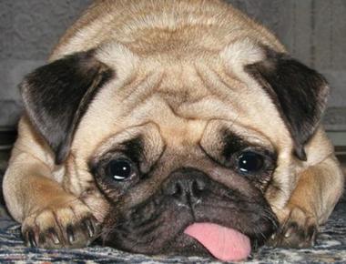 "過敏" 的英文怎麼說?