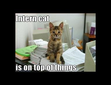 "工讀生" 的英文怎麼說?