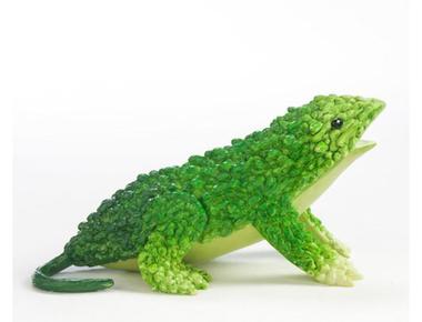 「苦瓜」的英文怎麼說？