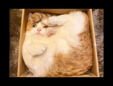 常見英文錯誤：Hope not let you feel uncomfortable.