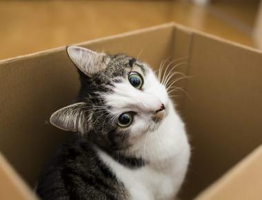 50 Life Lessons 人生的 50 課 (五)