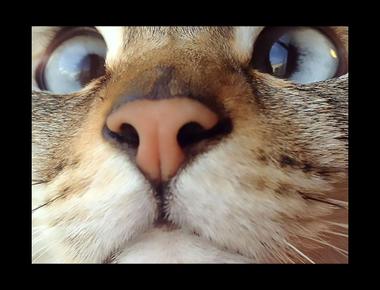 眼睛問題的英文名稱