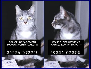 「治安不好」的英文怎麼說？